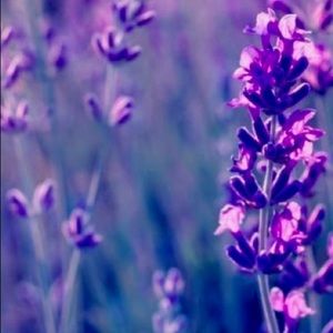 Meet your Posher, Norhan